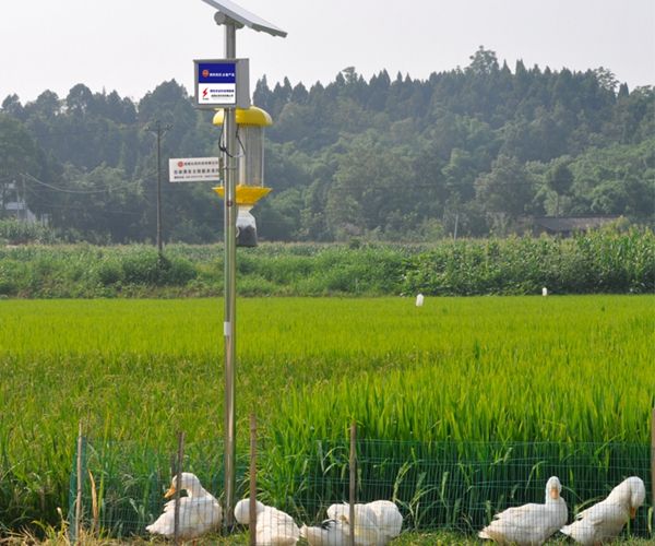 重庆杀虫公司教你去除肉质植物上的害? /></div> 
						<div   id=